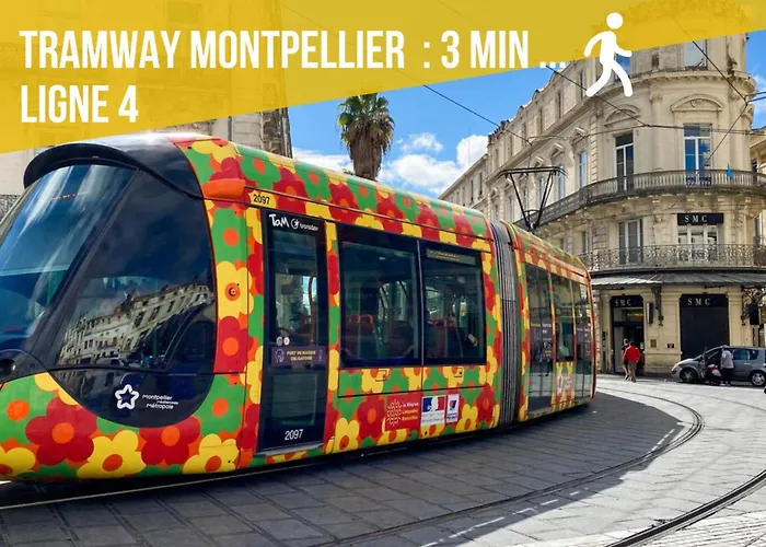 דירה Alma F2 Hypercentre 1min Cathedrale Saint Pierre 3 Min Tram Charme Ancien & Confort Moderne Netflix