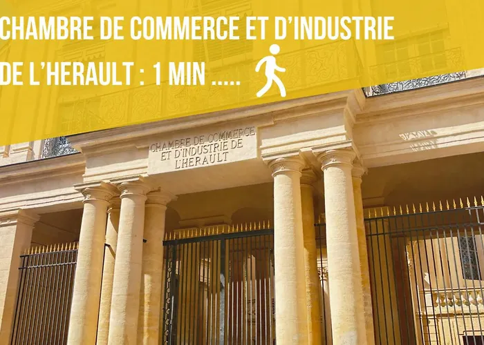 דירה Alma F2 Hypercentre 1min Cathedrale Saint Pierre 3 Min Tram Charme Ancien & Confort Moderne Netflix